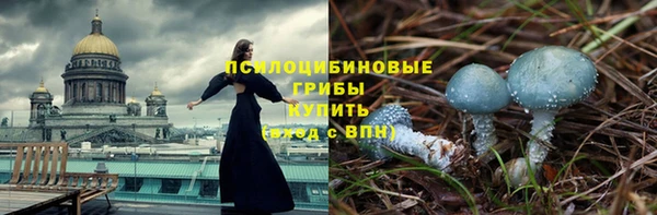 прущие грибы Алексеевка