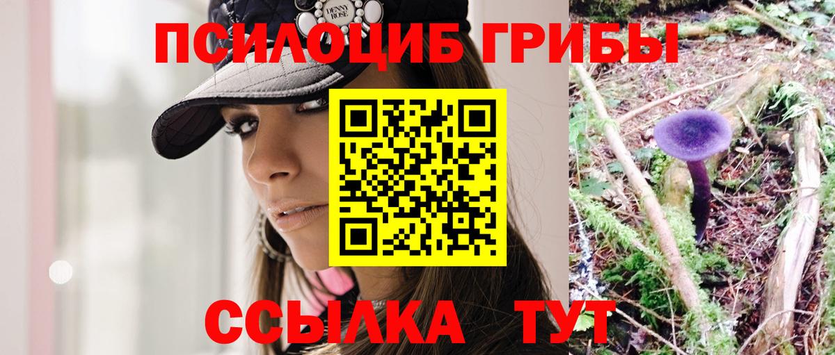 Псилоцибиновые грибы мицелий Феодосия