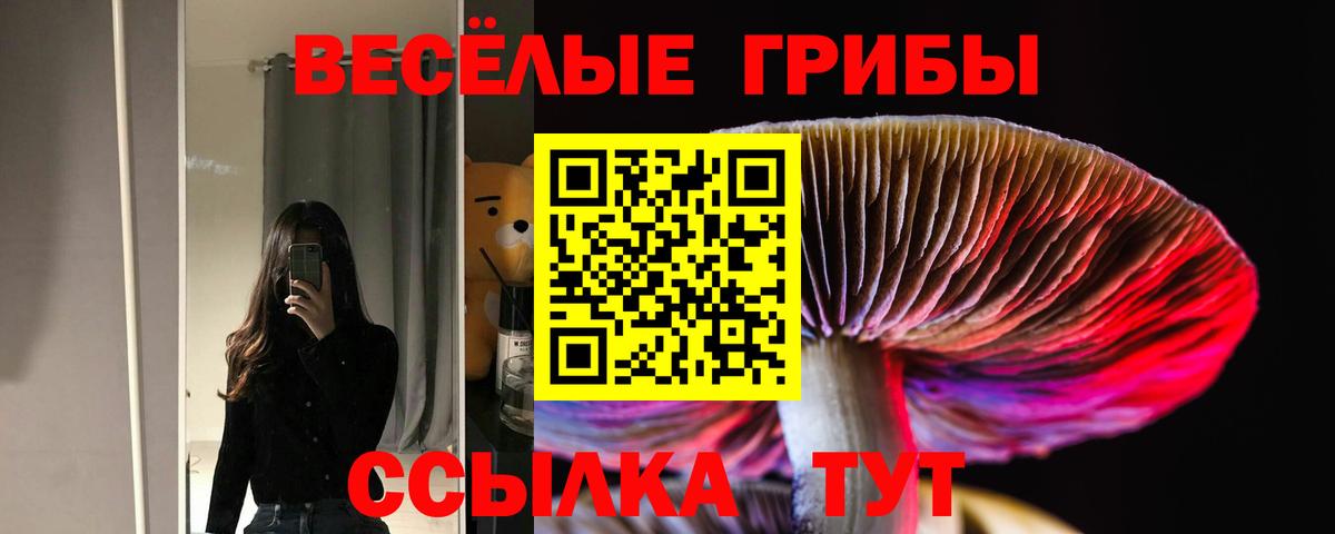 Феодосия  Псилоцибиновые грибы Psilocybe  Вход с VPN 